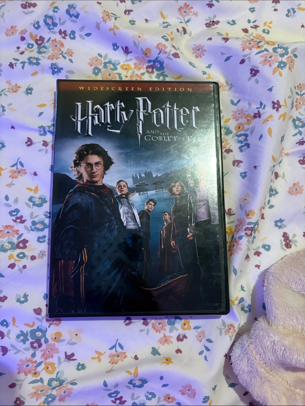 Warner Bros. Harry Potter DVD Case in Blue and Black it’s sealed